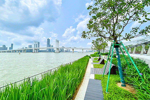 南岸海濱綠廊 二期二區開放
